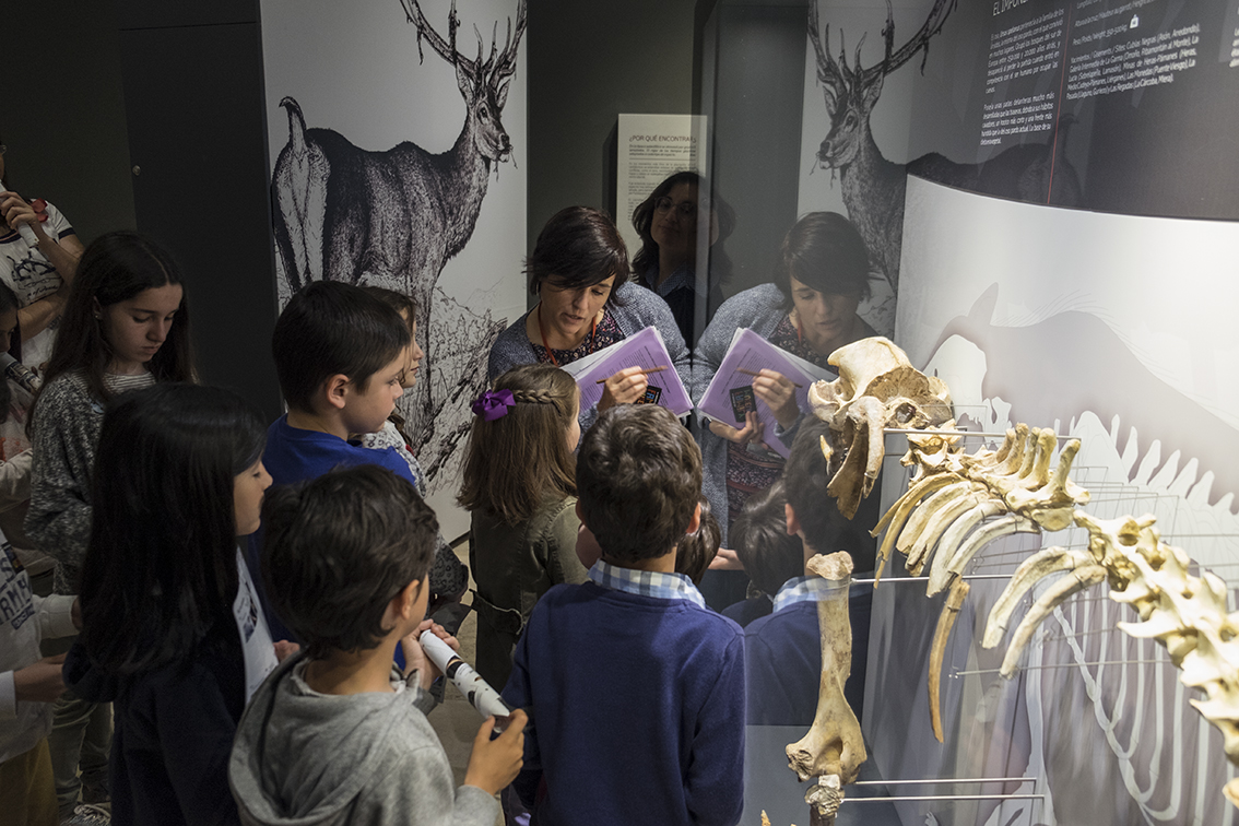 FAMILY MUSEUM